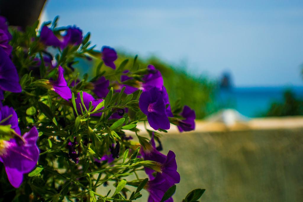 Agathi Beach House Agios Gordios  Extérieur photo